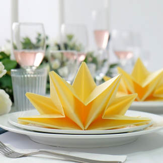 NAPKINS - STAR SHAPED - PAPER SERVIETTES - IN 9 FUN COLOURS