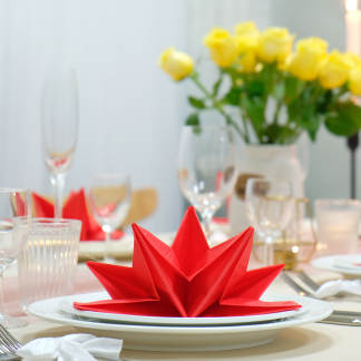 NAPKINS - STAR SHAPED - PAPER SERVIETTES - IN 9 FUN COLOURS